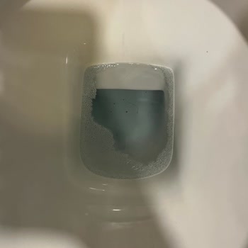 Oda Temizliği Ve Yemek Kalitesi Konusunda Hayal Kırıklığı