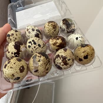 A101 Online Siparişimde Eksik Ve Hasarlı Ürünler, İade Talebime Dönüş Yok