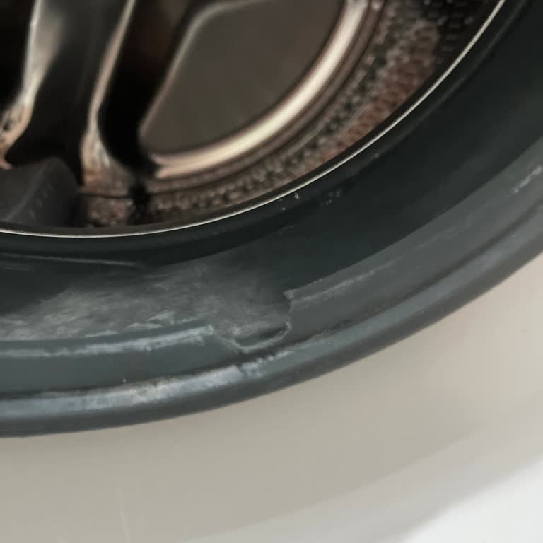 Garanti Kapsamındaki Bosch Çamaşır Makinesi Lastik Arızası İçin Ücret Talebi