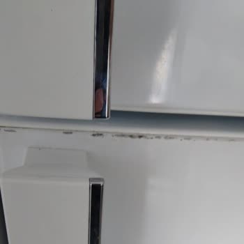 LG Buzdolabında Boya Soyulması Ve Müşteri Hizmetlerine Ulaşamama