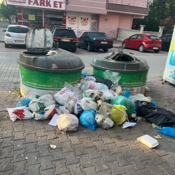 Çöp Konteynerlerinin Kötü Kokusu Ve Görüntüsü Rahatsız Ediyor
