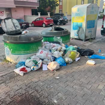 Çöp Konteynerlerinin Kötü Kokusu Ve Görüntüsü Rahatsız Ediyor