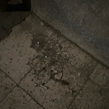 Türk Telekom Fiber Altyapı Kurulumunda Temizlik Ve Montaj Sorunu