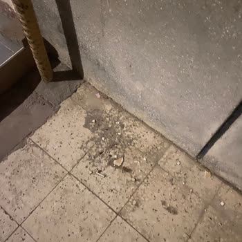 Türk Telekom Fiber Altyapı Kurulumunda Temizlik Ve Montaj Sorunu