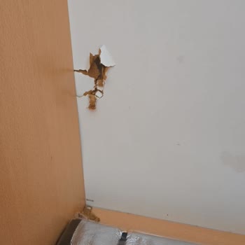 Akel Nakliyat (izmirevdenevenakliye.com.tr) Zararımı Karşılamıyor