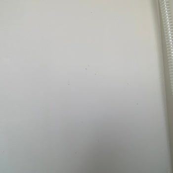 Jotun Boyada Yeni Boyanan Duvarların Kötü Hali Ve Garanti Belirsizliği