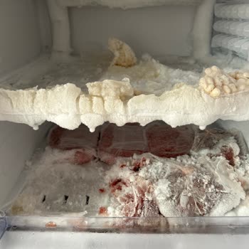 Beko Dondurucuda Tekrarlayan Buzlanma Ve Bozulma Sorunu Mağduriyeti