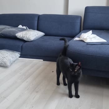 Teslimat Sonrası Sorunlarım Çözülmüyor, Destek Alamıyorum