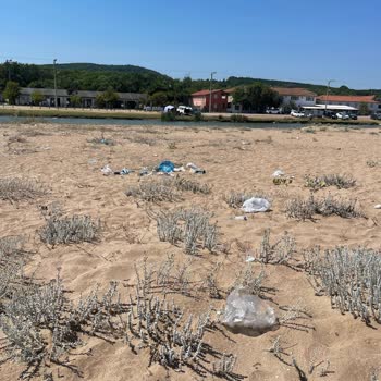Kandıra Belediyesi Sarısu Plajı'nda Artan Çöp Sorunu Endişelendiriyor
