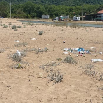 Kandıra Belediyesi Sarısu Plajı'nda Artan Çöp Sorunu Endişelendiriyor
