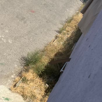 Ataşehir Belediyesi'nin Temizlik Ve İlgisizliği Nedeniyle Mağduriyet