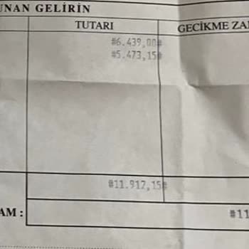 Çifte Ceza Ödemesi Ve İade Sorunu: Ziraat Bankası Ve Vergi Dairesi Mağduriyeti