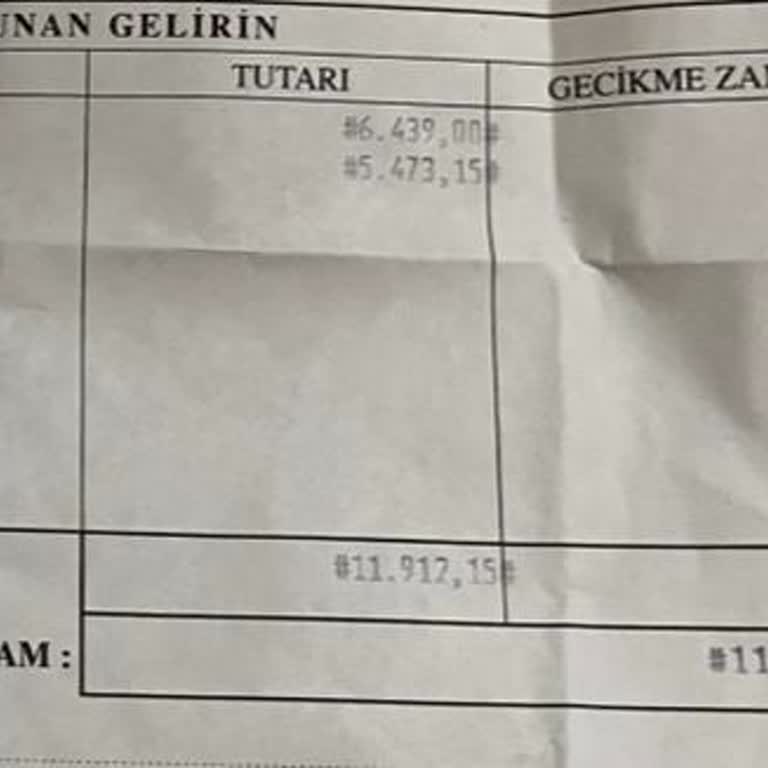 Çifte Ceza Ödemesi Ve İade Sorunu: Ziraat Bankası Ve Vergi Dairesi Mağduriyeti