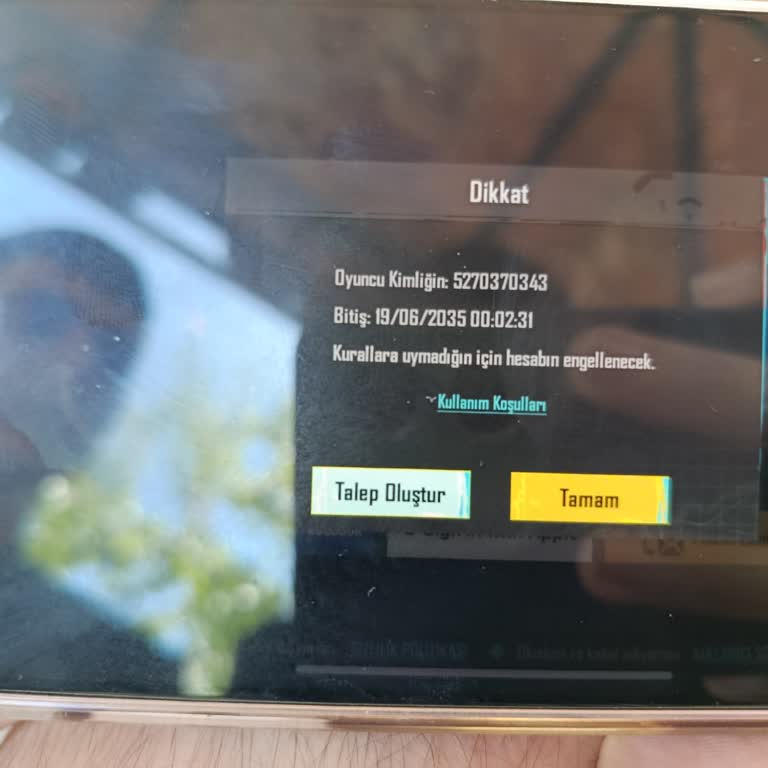 Satın Alınan Hesabın Banlı Ve Engelli Olması