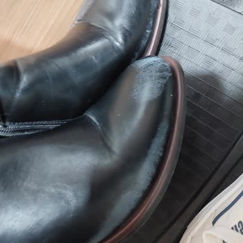 Ürün Tavsiyesi Sonrası Botlarda Kullanım Sorunu