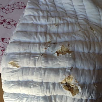 Yıkamaya Verdiğim Eşyalarım Zarar Gördü, İletişim Kurulamıyor