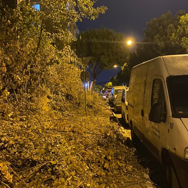 Kaldırımda Haftalardır Bırakılan Ağaçlar Tehlike Saçıyor