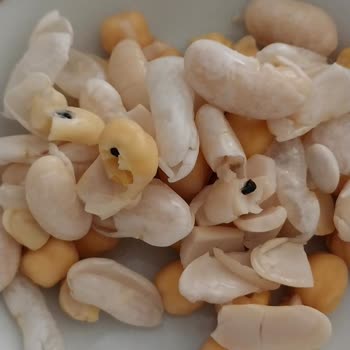 Aldığım Nohut Ve Fasulyede Böcek Çıktı, Ürünler Taze Değil