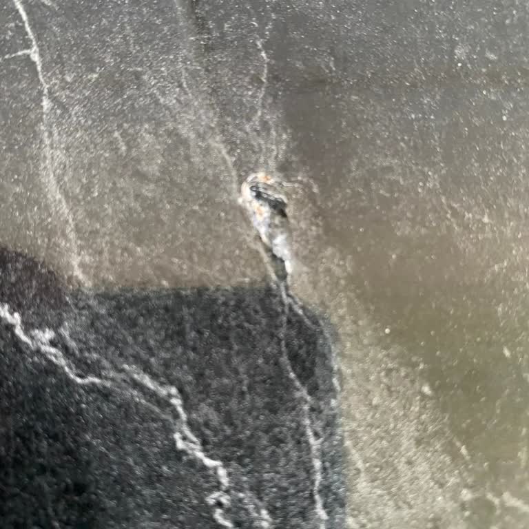 Ayıplı Ürün, İlgisiz Hizmet: Mağduriyetim Giderilmiyor!