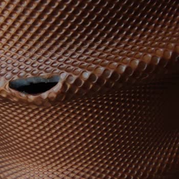 Pegasus'tan Valiz Hasarı Ve Yetersiz Çözüm: Müşteri Memnuniyeti Sıfır