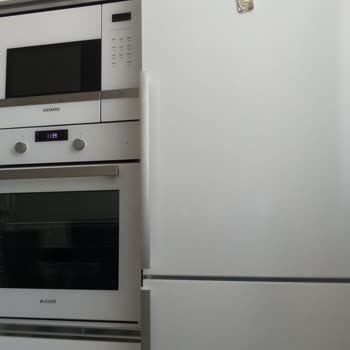 Bosch Buzdolabında Boya Çürümesi Ve İç Aksam Sorunları