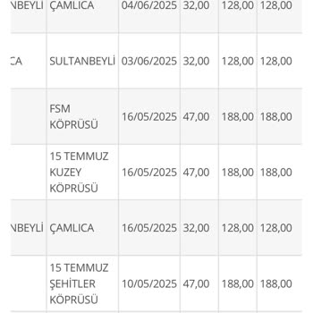 HGS Ödemelerim Yapıldığı Halde İdari Takip Ve Fazla Borç Çıkıyor