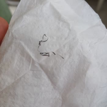 Otelin Hijyen Ve Hizmet Kalitesi Beklentilerin Çok Altında Kaldı