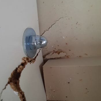 Kelebek Mobilya'dan Aldığım Koltukta Yaşanan Sorun Ve Servis İlgisizliği