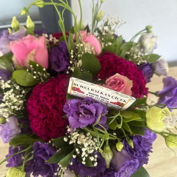 Bursa Balkan Çiçek Böcekli Çiçek Geldi