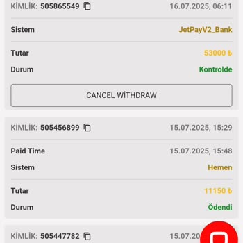 Kazancım Ödenmedi, Çekim Talebim Gecikti