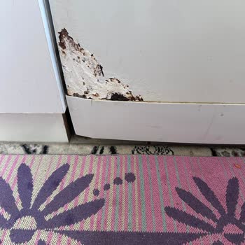 Bulaşık Makinasında Kısa Sürede Ciddi Paslanma Ve Sağlık Riski