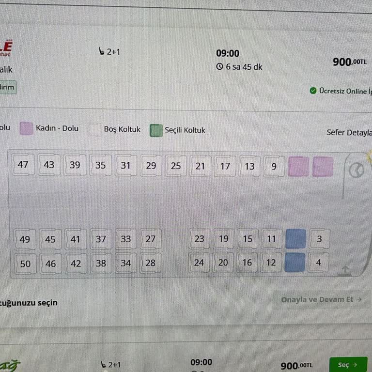 Kale Seyahat İle Yaşanan Güzergah Ve Yolculuk Sorunları