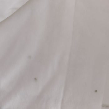 Sleepy Islak Mendillerde Küf Sorunu Ve Müşteri Hizmetlerinden Yanıtsızlık