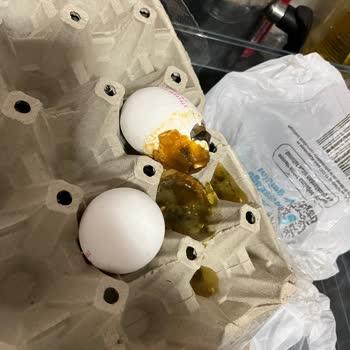 XL Yumurta İçinden Ölü Civciv Çıkması Ve Hijyen Sorunu