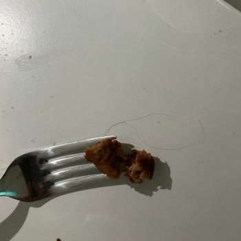 Namet Köftenin İçinden Saç Çıktı, Paketi Çöpe Attım!