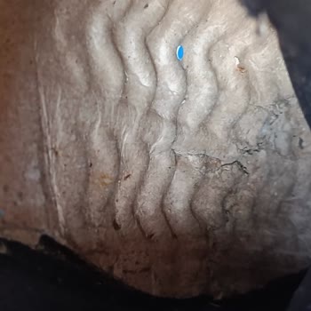 FLO'dan Alınan Ayakkabının Kusuru Ve Garanti Talebinin Haksız Reddi