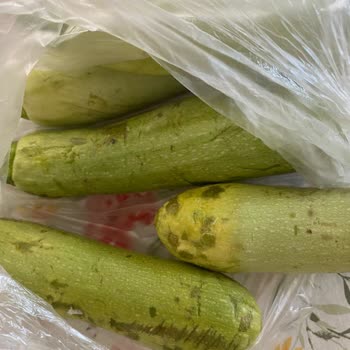 Migros Hemen’den Gelen Çürük Sebzeler ve Yetersiz Müşteri Desteği