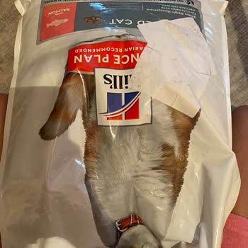 Delinmiş Ve Hava Almış Kedi Maması Paketi İade Edilmiyor