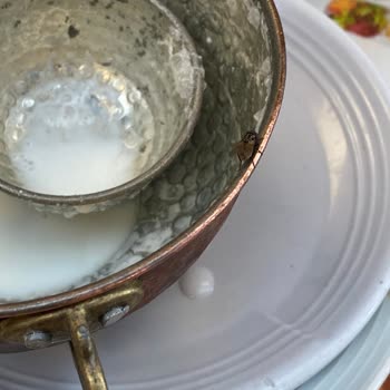 Köfteci Ramiz Şubesinde Yoğun Sinek Sorunu Ve Hijyen Eksikliği