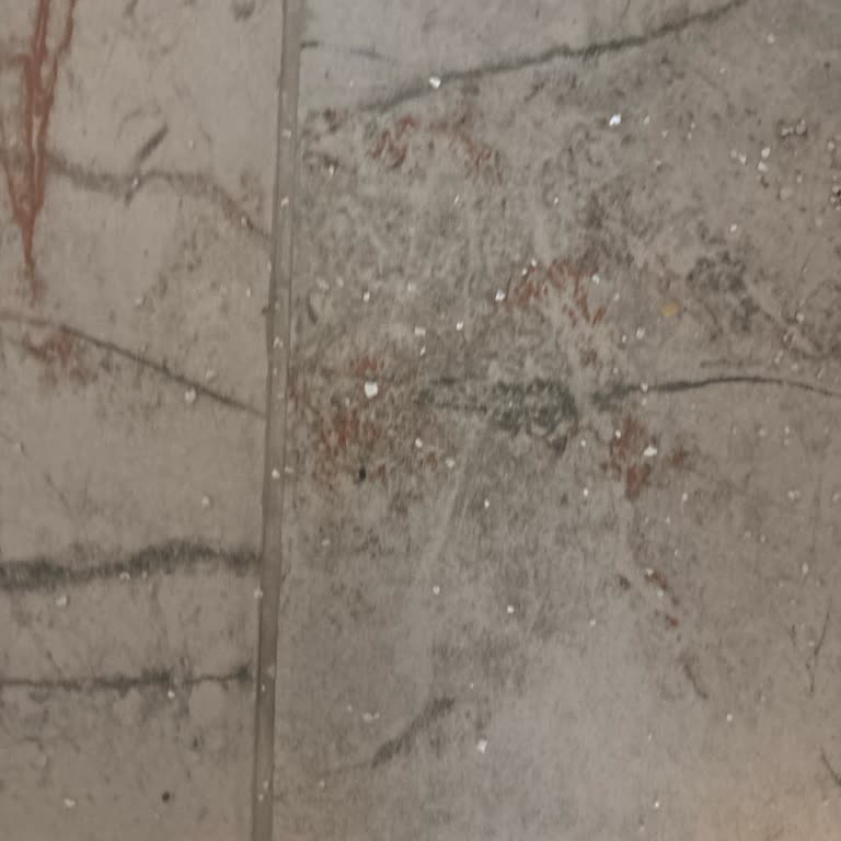 Süpürgenin Haznesi Çöpü Dışarı Bırakıyor