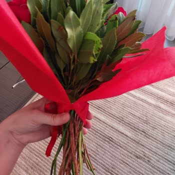 Çiçek Siparişinde Memnuniyetsizlik ve Kalite Sorunu