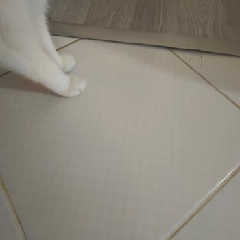 Yurtbay Seramik Fayansın Devamı Bulunamıyor, Mağduriyet Yaşıyorum!