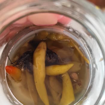 Tukaş Biber Turşusunda Yabancı Madde Şoku