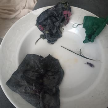 Yeni Alınan Çamaşır Makinesi Çamaşırları Yırtıyor, Servis Destek Vermiyor