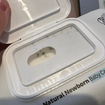 Sleepy Açılmamış Islak Mendilde Küf Şoku: Çocuk Sağlığı Tehlikede!