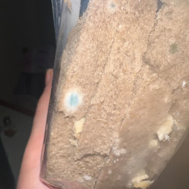 Opet Maltepe E-5 Şubesinde Son Kullanma Tarihi Geçmiş ve Küflü Ürünler Satılıyor