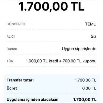 Temu Kampanyasında Kazandığım Kredi Hesabıma Yüklenmedi, Destek Alamıyorum