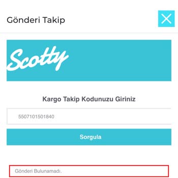Kargom Kayboldu Mu? Siparişime Ulaşamıyorum!