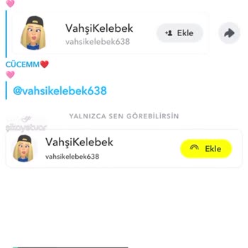 Snapchat Kullanmasına Rağmen Arkadaşımı Ekleyemiyorum