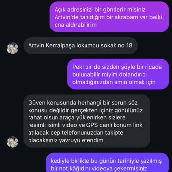 Sahte Kedi Sahiplendirme İlanıyla Mağduriyet